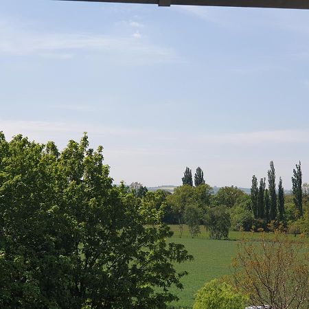 Villa Cosel Dresda Esterno foto