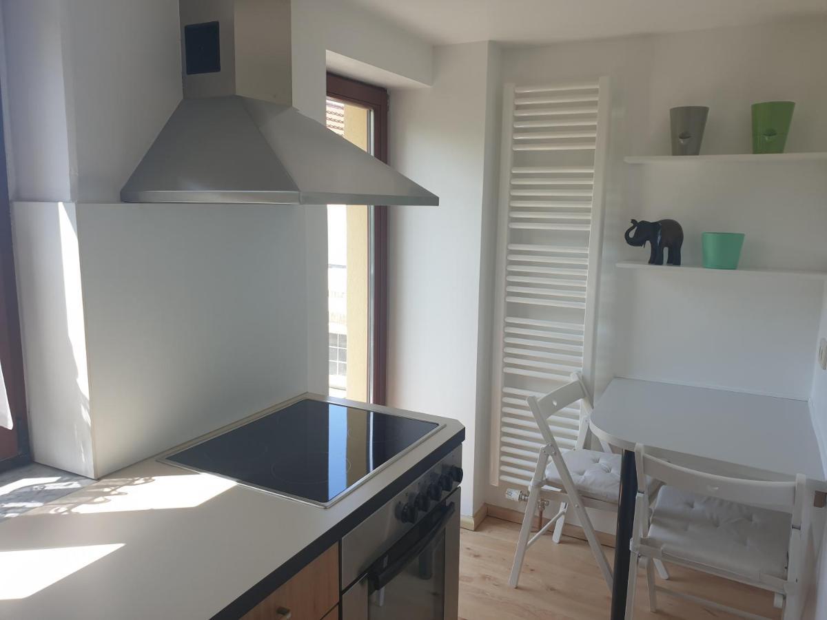 Villa Cosel Dresda Esterno foto