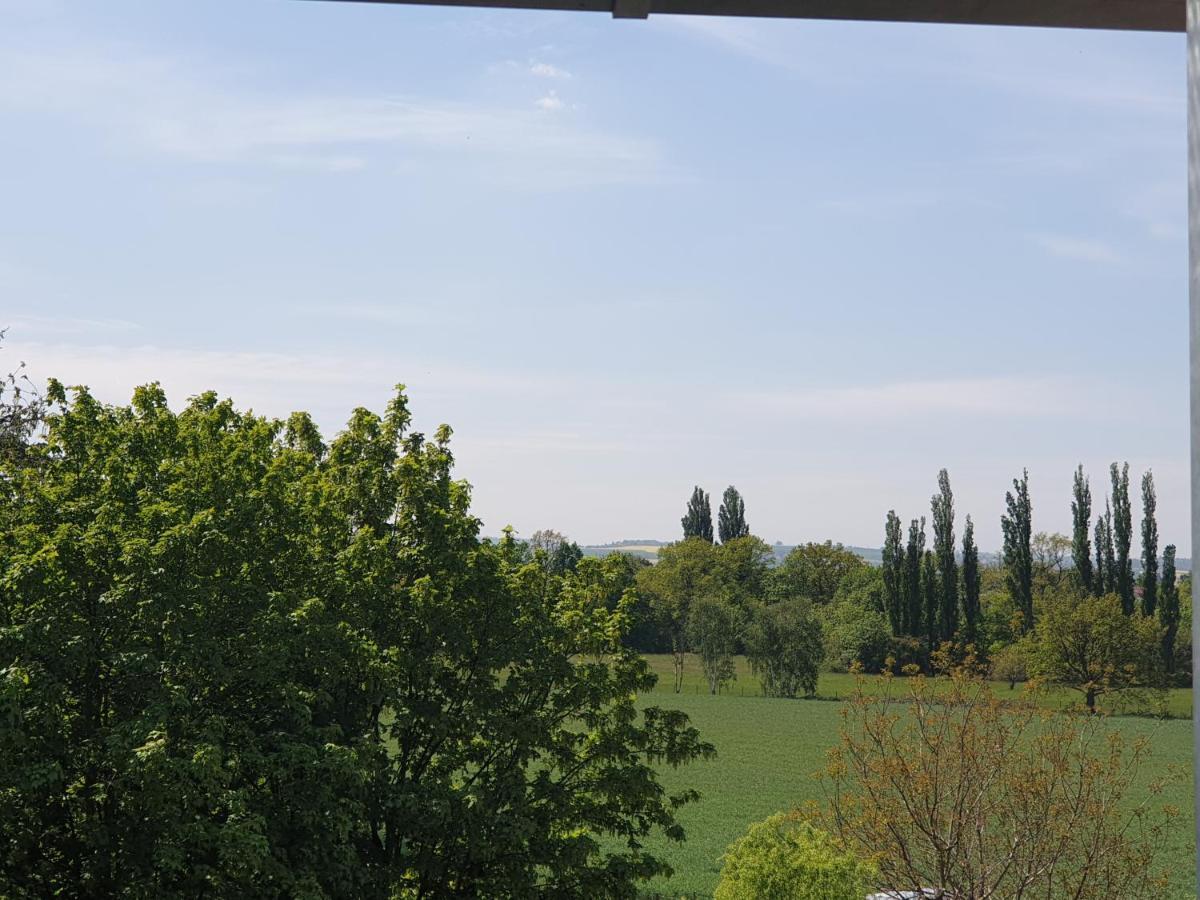 Villa Cosel Dresda Esterno foto